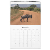 Gnus Afrika Kalender (Mär 2027)