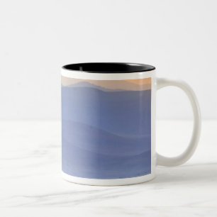 Gnus während der Migration, Connochaetes Zweifarbige Tasse