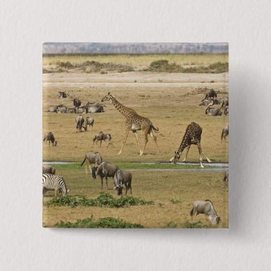 Gnus, Zebras und Giraffen Button (Vorderseite)