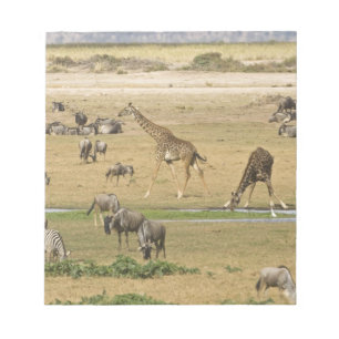 Gnus, Zebras und Giraffen Notizblock