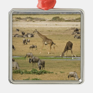 Gnus, Zebras und Giraffen Ornament Aus Metall