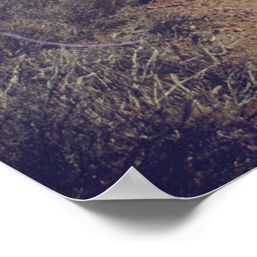 Go-Erforschung Poster (Ecke)