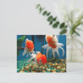 Go Fish Postkarte (Stehend Vorderseite)