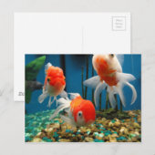 Go Fish Postkarte (Vorne/Hinten)