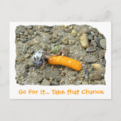 Go For It. Take that Chance Postkarte (Vorderseite)