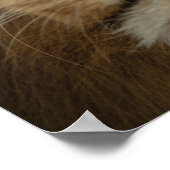 Go Get, was Sie Gewollt haben - Lion Motivierend Poster (Ecke)