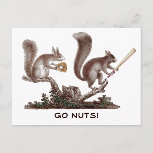 Go Nuts Kundgebung Eichhörnchen Grüße von St. Loui Postkarte (Vorderseite)