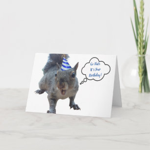 Go Nuts Party Squirrel Birthday Card Karte