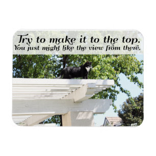Go und Make it to Top Cat Motivierend Slogan Magnet