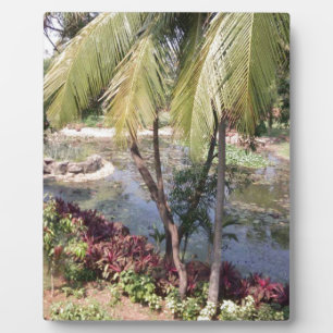 Goa India Garden Fotoplatte