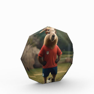 "Goal-Scoring Capybara: Der ultimative Fußballstar Fotoblock