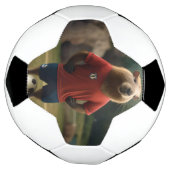 "Goal-Scoring Capybara: Der ultimative Fußballstar Fußball (Gedreht)