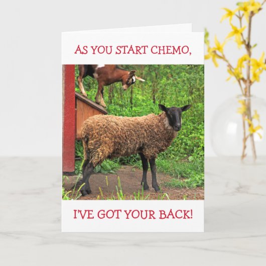 Goat and Sheep Chemo Comfort Karte (Gelbe Blume)