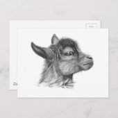 Goat Baby G099 Postkarte (Vorne/Hinten)