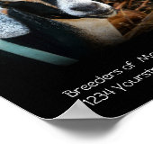 Goat Breeder Business Poster (Ecke)