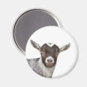 Goat Cute Farm Foto Tier Magnet (Vorderseite/Rückseite)