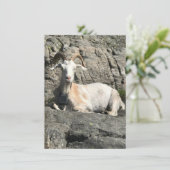 Goat danke Ihrer Karte (Stehend Vorderseite)