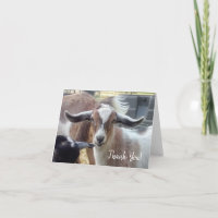 Goat danke Ihrer Karte