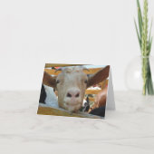 Goat Hello Karte (Vorderseite)