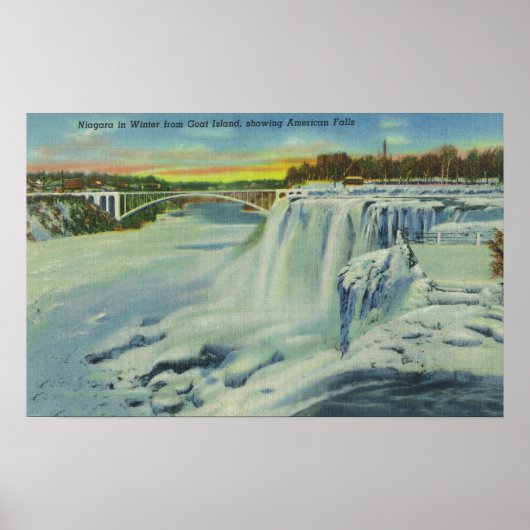 Goat Island View American Falls im Winter Poster (Vorne)