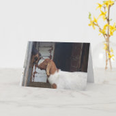 Goat Kisses Personalisiert Greeting Karte (Gelbe Blume)