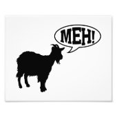 Goat Meh Fotodruck (Vorne)
