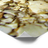 Goat Moth Raupe Poster (Ecke)