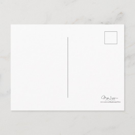 Goat Niedlich Funny You Gown this Postkarte (Rückseite)