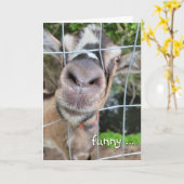 Goat Nose Birthday Spaß Karte (Gelbe Blume)