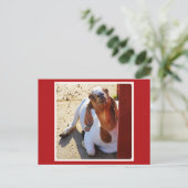 Goat Say's Cheese! Postkarte (Stehend Vorderseite)