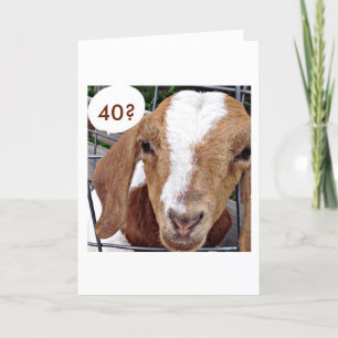 GOAT=SIE HABEN GOT, MICH "40. GEBURTSTAG" ZU KIDDI KARTE