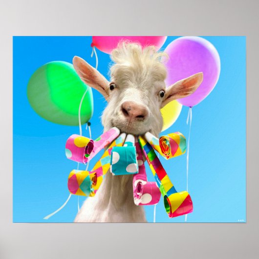 Goat with Party Blowers Poster (Vorne)