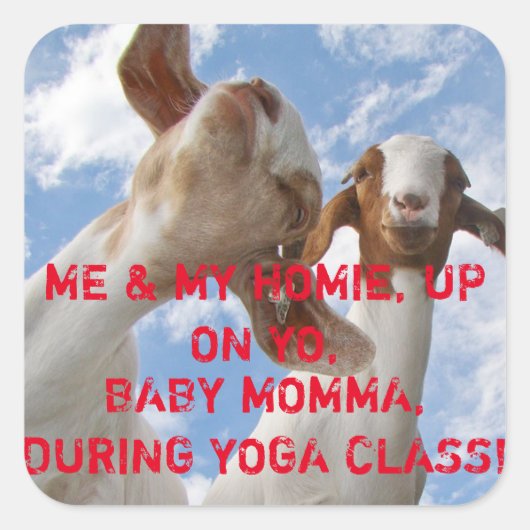 Goat Yoga Wise Cracks Quadratischer Aufkleber (Vorderseite)
