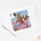 Goat Yoga Wise Cracks Quadratischer Aufkleber (Umschlag)