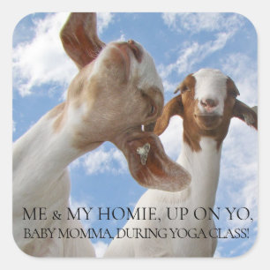Goat Yoga Wise Cracks Quadratischer Aufkleber