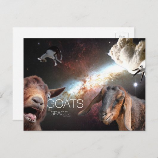 Goats.In.Space Postkarte (Vorne/Hinten)