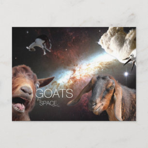 Goats.In.Space Postkarte
