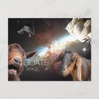 Goats.In.Space Postkarte