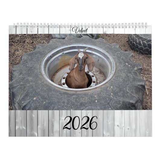 Goats of 2026 calendar kalender (Titelbild)