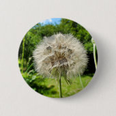 Goatsbeard-Wildblume-Abzeichen Button (Vorderseite)