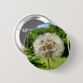Goatsbeard-Wildblume-Abzeichen Button (Vorne & Hinten)