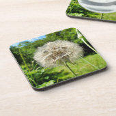 Goatsbeard-Wildblume Getränkeuntersetzer (Linke Seite)