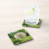 Goatsbeard-Wildblume Getränkeuntersetzer (Rechte Seite)