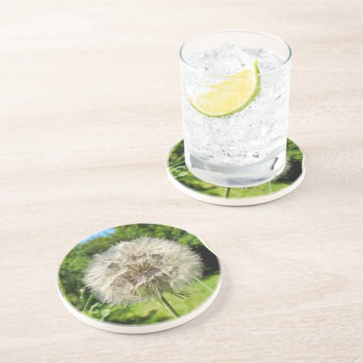 Goatsbeard-Wildblume Getränkeuntersetzer (Seite)