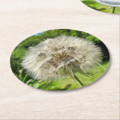 Goatsbeard-Wildblume Runder Pappuntersetzer (Angewinkelt)