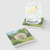 Goatsbeard-Wildblume Steinuntersetzer (Seitenansicht)