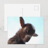 Goatzilla Postkarte (Vorne/Hinten)