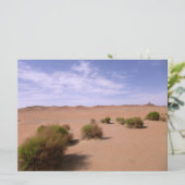 Gobi-Wüstenansicht (Stehend Vorderseite)