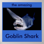 Goblin Shark Poster (Vorne)