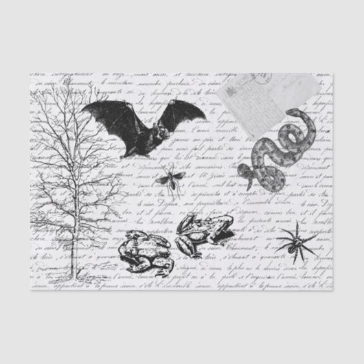 Goblincore Frosch Bat Animal Decoupage Seidenpapier (Vorderseite)